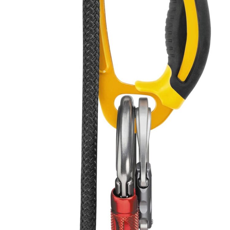 petzl ascension