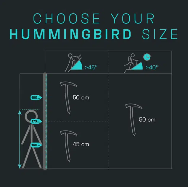 blue ice Hummingbird