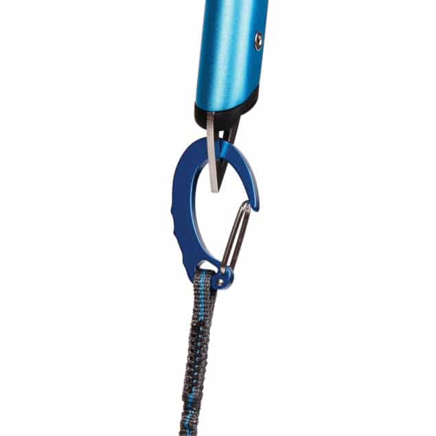 blue hydra leash