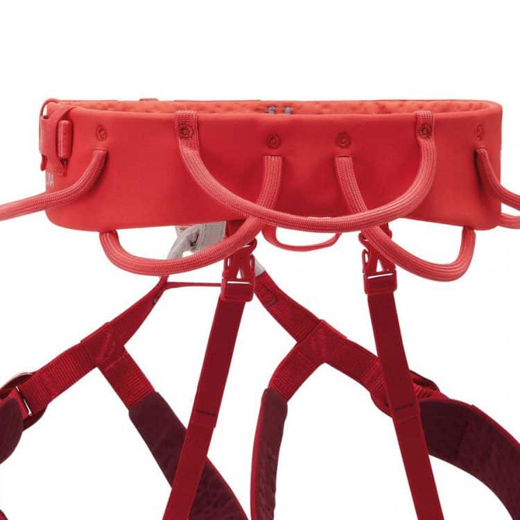 petzl luna