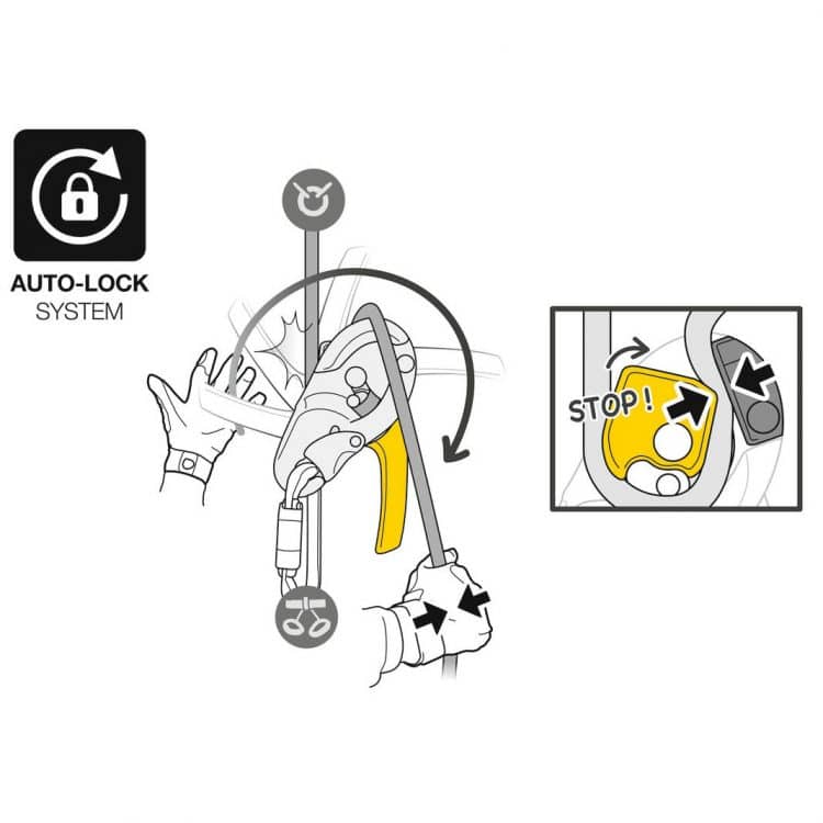 petzl rig